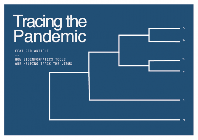 Tracing the Pandemic